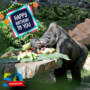 День народження Тоні