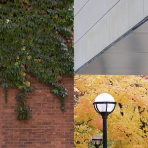 Фото