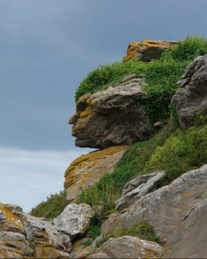 Apache head, Ebihens, France