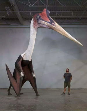 The Quetzalcoatlus, самое большое летающее животное, когда-либо существовавшее