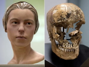 Череп 14-річної дівчини, яка, як вважають, стала жертвою канібалізму в колонії Джеймстауна взимку 1609 року. На лобі можна побачити сліди бійні.