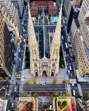  St. Patrick's Cathedral