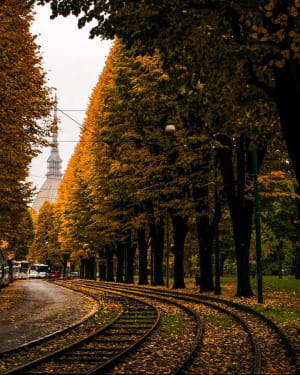 Осень
