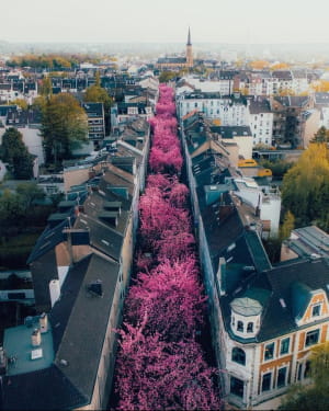 Breite Strasse, Bonn