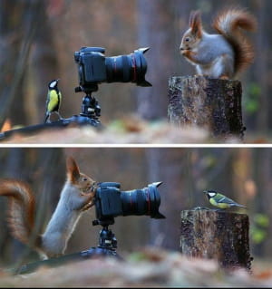 Фотографія