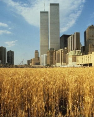Пшеничное поле на Манхэттене. В 1982 году, до появления многоэтажек и кондоминиумов Battery Park, художнице Агнесе Денесу было поручено создать нечто уникальное. Вместо скульптуры она посадила золотое пшеничное поле, используя землю, выкопанную при строит