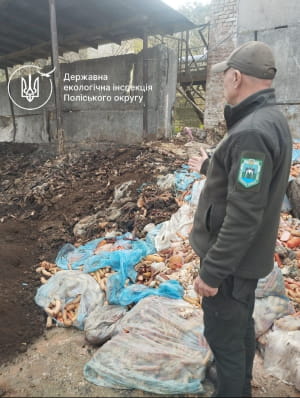Перевірка