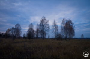 Фото природы