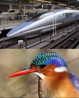 Дизайн високошвидкісного поїзда Shinkansen серії 500 імітує дзьоб птаха зимородка для покращення аеродинаміки. Завдяки біоміміці його передня частина в стилі зимородка зменшила споживання енергії на 15%, збільшила швидкість на 10%, знизила шум і покращила комфорт пасажирів.