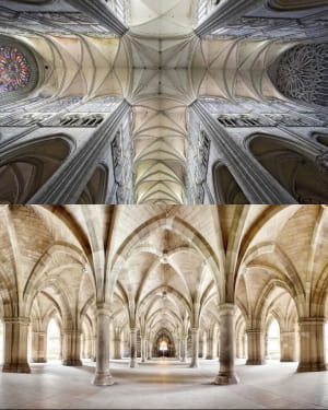 Готичні архітектори черпали натхнення в деревах для створення ребристих склепінь. Ребра служать каркасом, як гілки дерев, підтримуючи стелі та дозволяючи створювати вищі та відкритіші інтер’єри. Склепінчасті стелі повторюють форму гілок дерев, що тягнуться вгору.