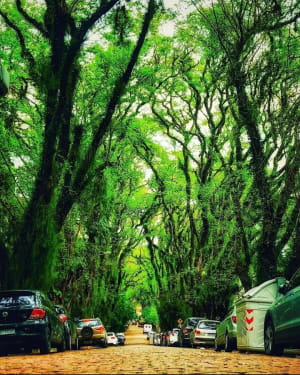 Улица Goncalo De Carvalho, Порту-Алегри, Бразилия