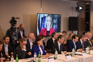 Перша міжнародна конференція на захист української спадщини
