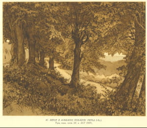 Работа Шевченко