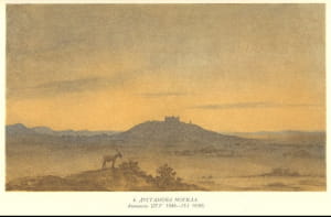 Работа Шевченко