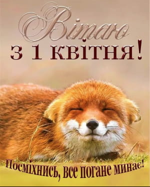 Открытка
