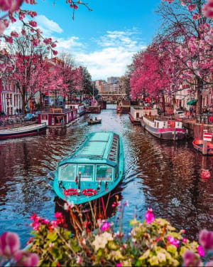 Краса весни