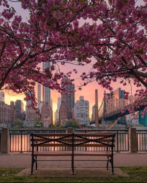 Краса весни