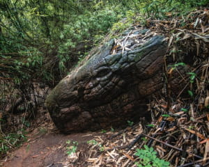 Скальное образование, известное как «Скала покоящегося дракона». Оно расположено на острове Пху Лангка, Таиланд.