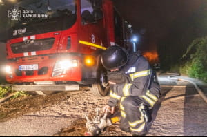 Наслідки атаки Чугуєва