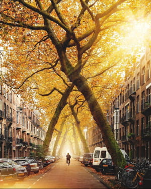 Ломанстраат, Амстердам