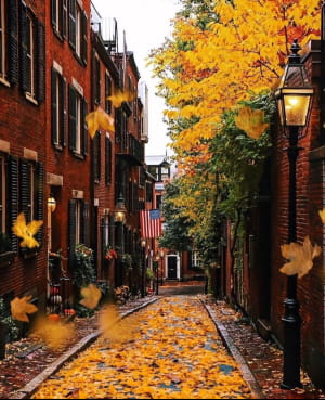 Вулиця Ейкорн у Бостоні 