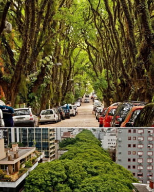 Вулиця Гонсало де Карвалью, розташована в Порту-Алегрі, Бразилія