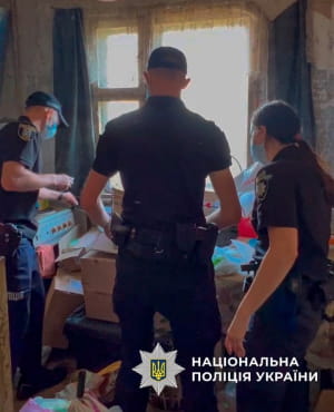 Порятунок котів