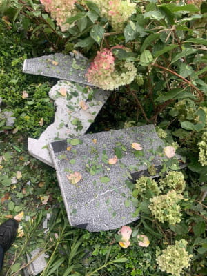 Наслідки атаки