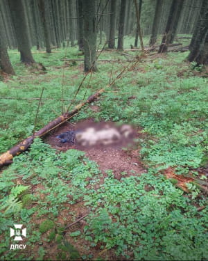 Останки людей