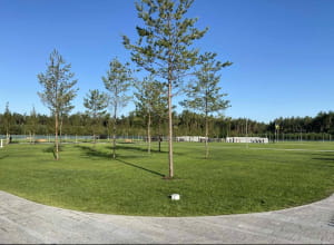 Національне військове меморіальне кладовище