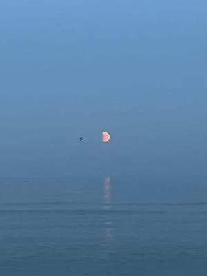 Місячне затемнення