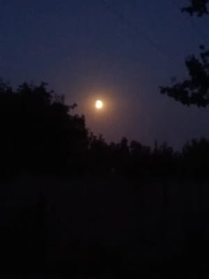 Місячне затемнення