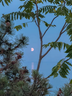 Місячне затемнення