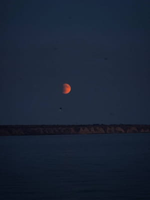 Місячне затемнення