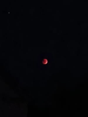 Місячне затемнення