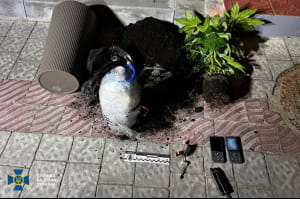 Затримання агентів ФСБ рф