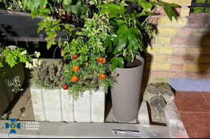 Затримання агентів ФСБ рф