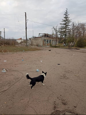 Наслідки воржої атаки 