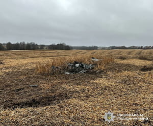 Правоохранители ликвидируют обезвреживать боевые элементы российских ракет и беспилотников