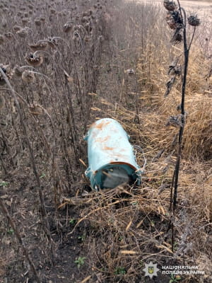 Правоохранители ликвидируют обезвреживать боевые элементы российских ракет и беспилотников