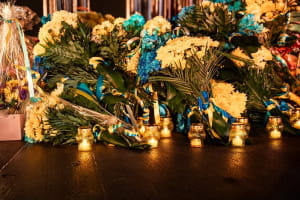 "Антидот" в Запорожье