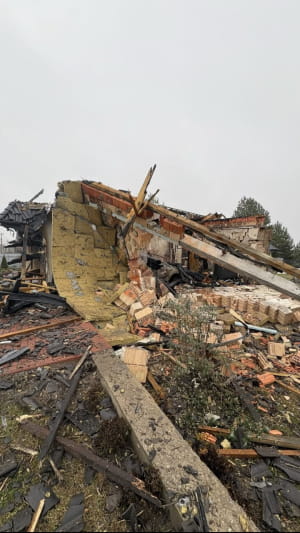 Історія про врятованого кота та зруйнований будинок