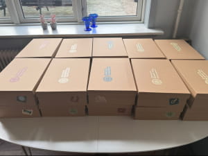 Менторская программа "Корни и крылья"