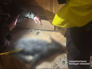 Фото з квартири