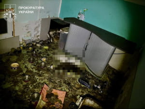 "Притулок" для тварин у Київській області