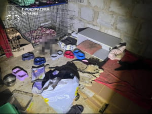 "Притулок" для тварин у Київській області