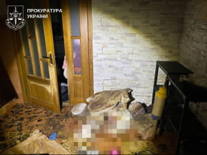 "Притулок" для тварин у Київській області