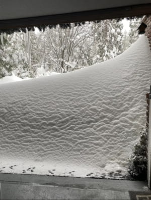 Зимові фейли