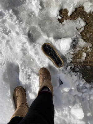 Зимові фейли