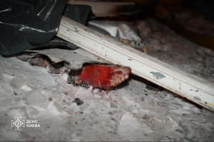 обстрел, ГСЧС